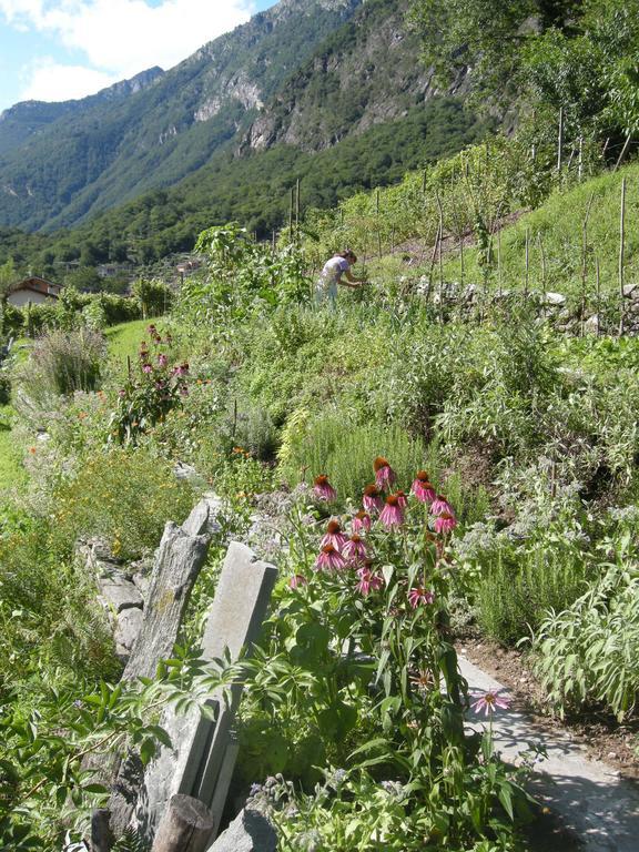 Eco-Hotel Cristallina Coglio Exteriér fotografie